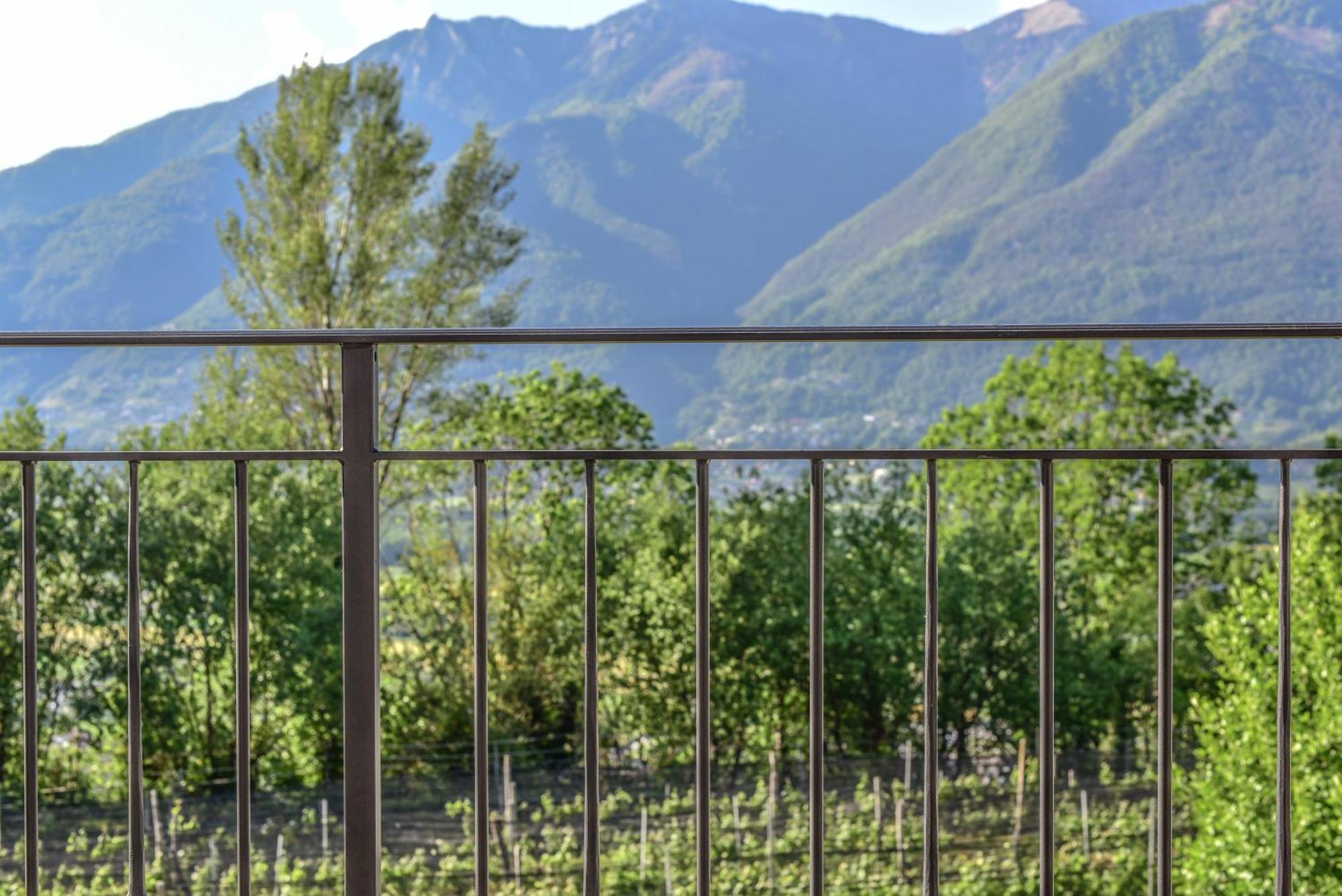 Bed and Breakfast Viva Bacco Gambarogno Екстер'єр фото