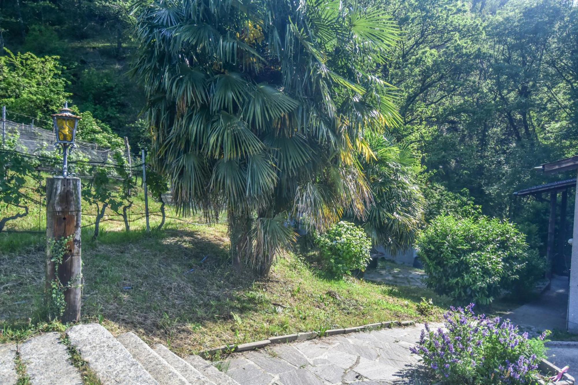 Bed and Breakfast Viva Bacco Gambarogno Екстер'єр фото