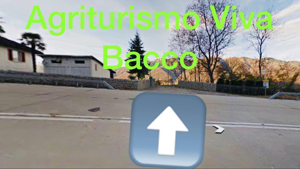 Bed and Breakfast Viva Bacco Gambarogno Екстер'єр фото